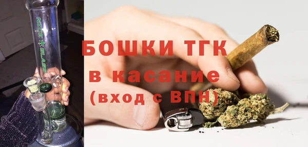 прущие грибы Алексеевка