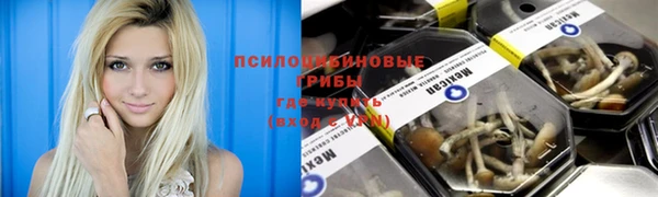 СК Алзамай