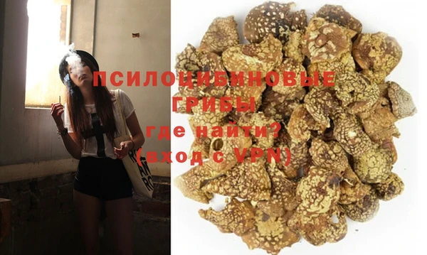 СК Алзамай