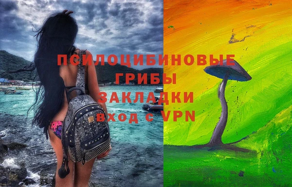 СК Алзамай