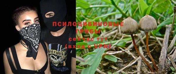 mdpv Алексин