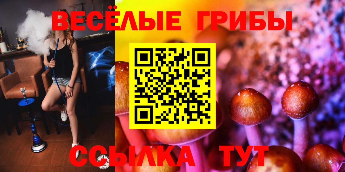 Галлюциногенные грибы Magic Shrooms Тайшет