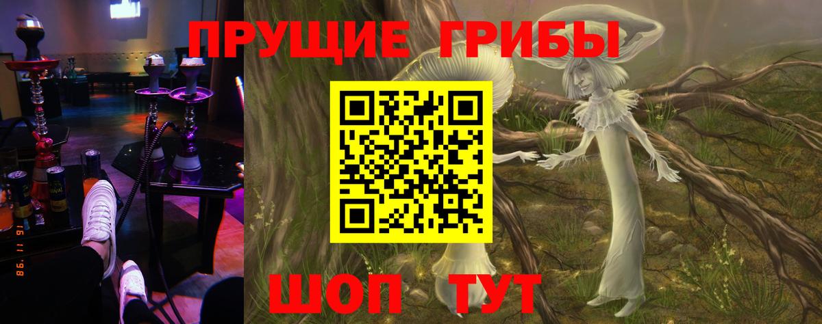 Галлюциногенные грибы мухоморы  Вход с VPN  Тайшет 